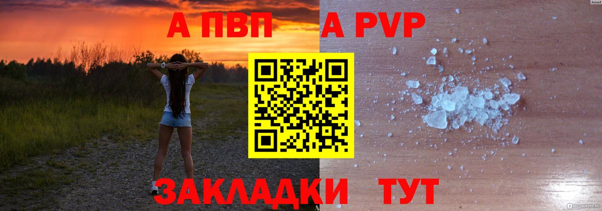Альфа ПВП СК Санкт-Петербург