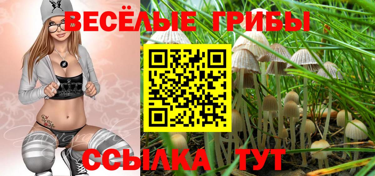 Галлюциногенные грибы Psilocybe Санкт-Петербург