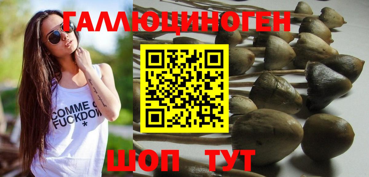 Санкт-Петербург  Псилоцибиновые грибы GOLDEN TEACHER  Вход с VPN  Галлюциногенные грибы GOLDEN TEACHER 